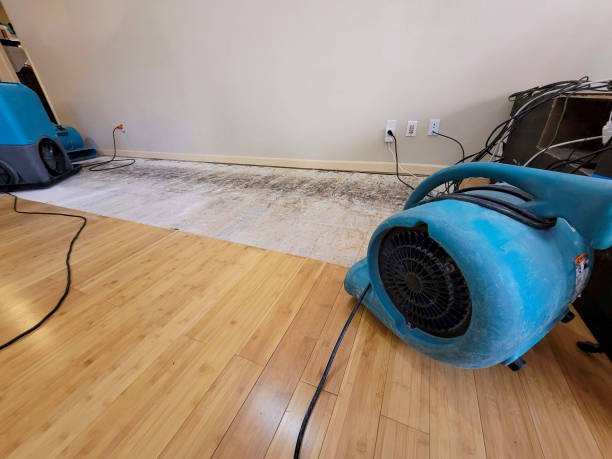 Professional Water Damage Repair technician working in Prather, CA